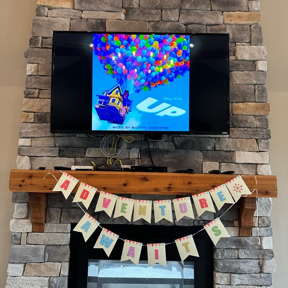 Disney Up themed decor - Picture 5 of 6